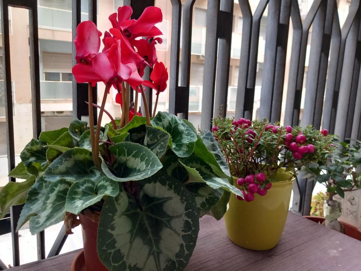 Bed and Breakfast La Valigia Sul Letto Катания Экстерьер фото